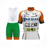 2017 Abbigliamento Ciclismo Bardiani Csf Bianco Verde Manica Corta e Salopette